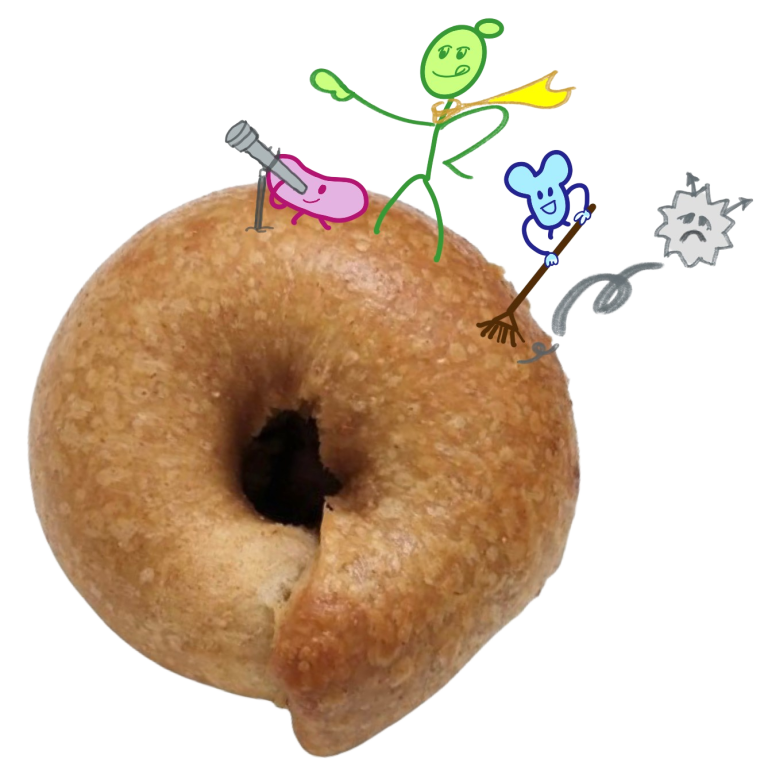 咬青山天然野酵烘焙-天然酵母-酸種貝果-sourdough-也稱老麵-魯邦種