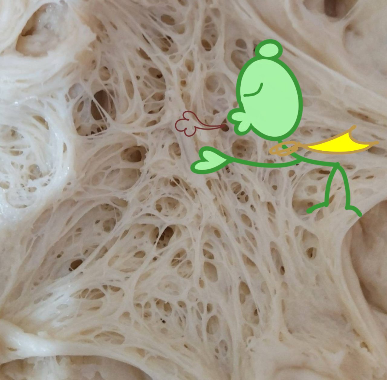 咬青山野酵烘焙-天然野生酵母就是天然酵母也是魯邦種-酵母菌-咬定青山不放鬆